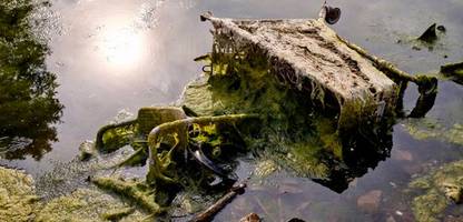 Müll im Rhein: Abfallmenge deutlich größer als bisher angenommen