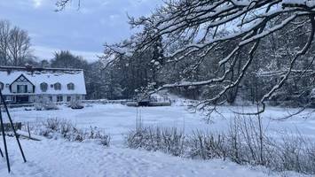 sachsenwald eingemeindet: aumühle kämpft gegen schneemassen