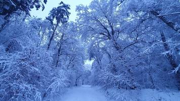 Stadt geht Streusalz aus – und der nächste Schnee kommt