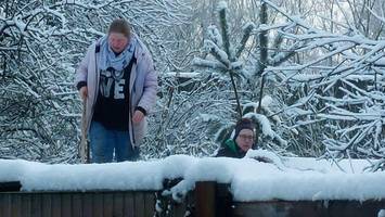 schneechaos: hilferuf der tierretter von looki – „wer versorgt die 512 tiere?“