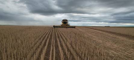 das mercosur-abkommen steht bevor: angst vor dem  unerwünschten konkurrenten aus südamerika