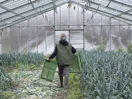 Landwirtschaft in Bayern: „Die Zukunft vieler bayerischer Höfe ist weiblich“