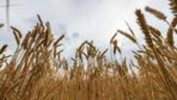 Landwirtschaft: Kaniber warnt vor Abhängigkeiten bei Ernährungssicherheit