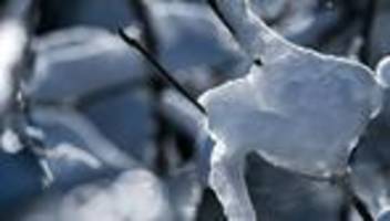 wetter: tierpark chemnitz wegen schnee dicht – straßen gesperrt