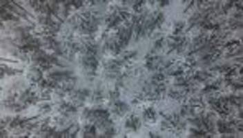 Winterwetter: Jäger sollen Jagd im Landkreis Leer einstellen