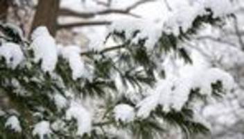 Winterwetter: Wochenmarkt in Wismar wegen Schnee und Eis abgesagt