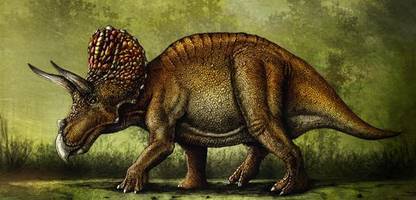 Dinosaurier-Studie: Es gab doch gehörnte Arten in Europa