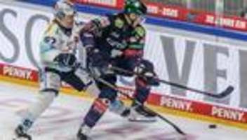 Deutsche Eishockey Liga: Viel Vorfreude vor Freiluft-Ostduell Eislöwen gegen Eisbären