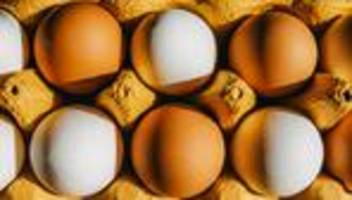 Eiweiß: Den Druck des Proteins