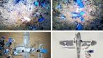 Konflikte: Nordkorea: Luftraumverletzung durch südkoreanische Drohne