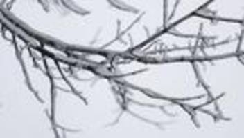 Tiefstwerte: Minus 12 Grad in Coschen: Bundesweit niedrigste Messung