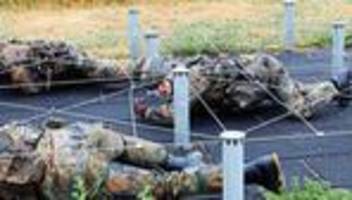 wehrdienst: treu zu dienen?