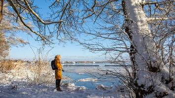 wintermärchen in berlin: schneewanderung durch den köpenicker forst