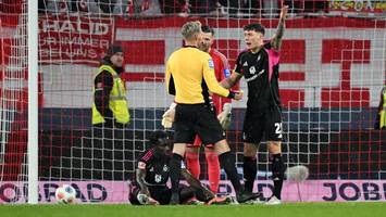 „das ist doch wahnsinn“ – großer hsv-Ärger über schiedsrichter