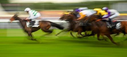 Bundesrechnungshof kritisiert Schwarz-Rot: Bund verschwendet Milliarden für unsinnige Subventionen