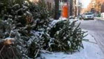 Kriminalität: Dieb klaut Geld von Christbäumen - Spende für Pfadfinder