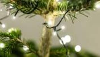 verbrennungen: christbaum fängt feuer - bewohner verletzt