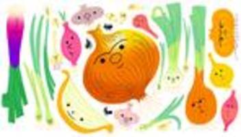 zwiebel: die zwiebel