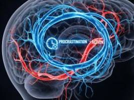 Abwägen des Aufwandes: Gründe für Aufschieberitis im Gehirn entdeckt