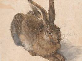 universalgenie des nordens : albrecht dürer, visionär aus der renaissance