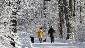 Alte Bauernregel: Was uns der Schnee im Januar über den Sommer verrät