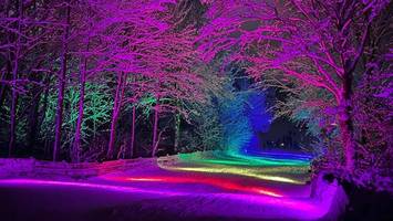 witzige aktion: bunt beleuchtete rodelpiste begeistert in pinneberg