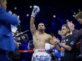 agit kabayel: „das deutsche boxen lebt“