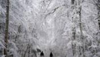 Eis und Schule: Schulbusse fahren nur eingeschränkt