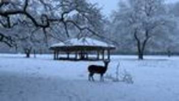 Folgen des Winterwetters: Notzeit für Wildtiere im Kreis Aurich geht zu Ende
