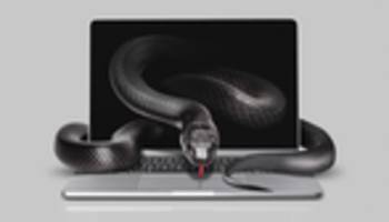 KI und Kriminalität: ChatGPT, geh stehlen!