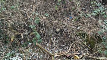 Kinder finden beim Spielen menschlichen Schädel