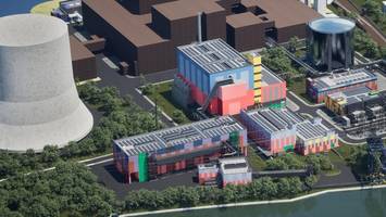 Umweltverbände warnen vor hohen Wärmekosten durch Holzkraftwerk in Spandau