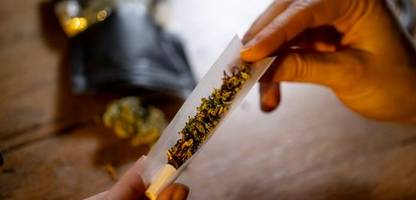 gesundheitsrisiko cannabiskonsum: experten empfehlen orientierung an thc-schwellenwerten