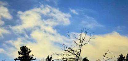 SpaceX-Rakete verursacht mysteriöses Leuchten über Teilen Ostdeutschlands