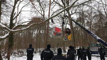 Polizei holt Autobahngegner aus Bäumen: Mann klettert in Baumkrone