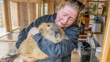 Tierschützer begeistert: Mehr als 50 spontane Helfer gegen Schneechaos