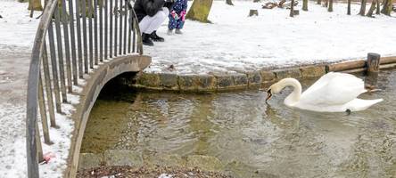 der schnee in augsburg verschwindet, das gefürchtete blitzeis kommt nicht