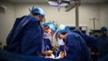 Deutsche Stiftung Organtransplantation: Zahl der Organspenden so hoch wie seit 2012 nicht