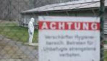 Tierseuche: Geflügelpest: Landkreis Bautzen trifft Schutzvorkehrungen