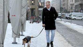 Gassigehen wird zur Rutschpartie für Morgenpost-Reporter und Hündin Betty