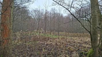 uralt-konflikt geht vor gericht: umweltschützer verklagen berlin