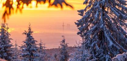 was 2026 gutes bereithält: hier sind dinge, auf die sie sich freuen können