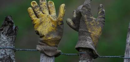 ifo-umfrage: jeder dritte selbstständige erwartet 2026 schlechtere geschäfte