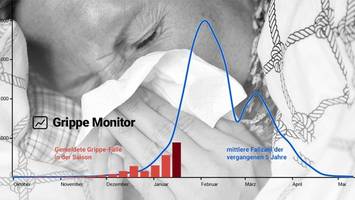 grippe: wie viele fälle werden gerade gemeldet?