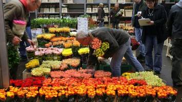 insolvenz: hamburger traditionsfirma muss nach fast 130 jahren aufgeben