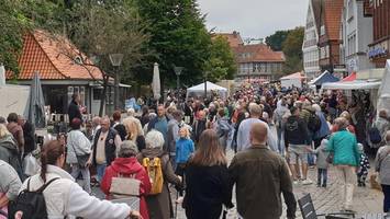 Zählen bald Kameras die Passanten in der Bergedorfer Innenstadt?