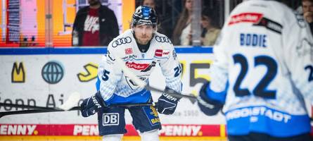 ERC Ingolstadt mit Chancen: Wer qualifiziert sich für die Eishockey Champions League 2026/27?