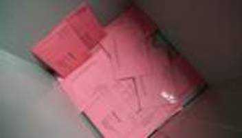 wahlzulassung: 12 parteien treten bei landtagswahl in rheinland-pfalz an