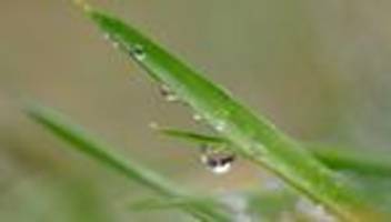 Wetterbericht: Regen im Norden, Sonne im Süden - Wetter bleibt launisch