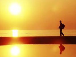 twens allein besonders belastet: studie: männer mit studium haben höheres single-risiko